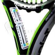 Система ведения счета матча для ракетки pdl046